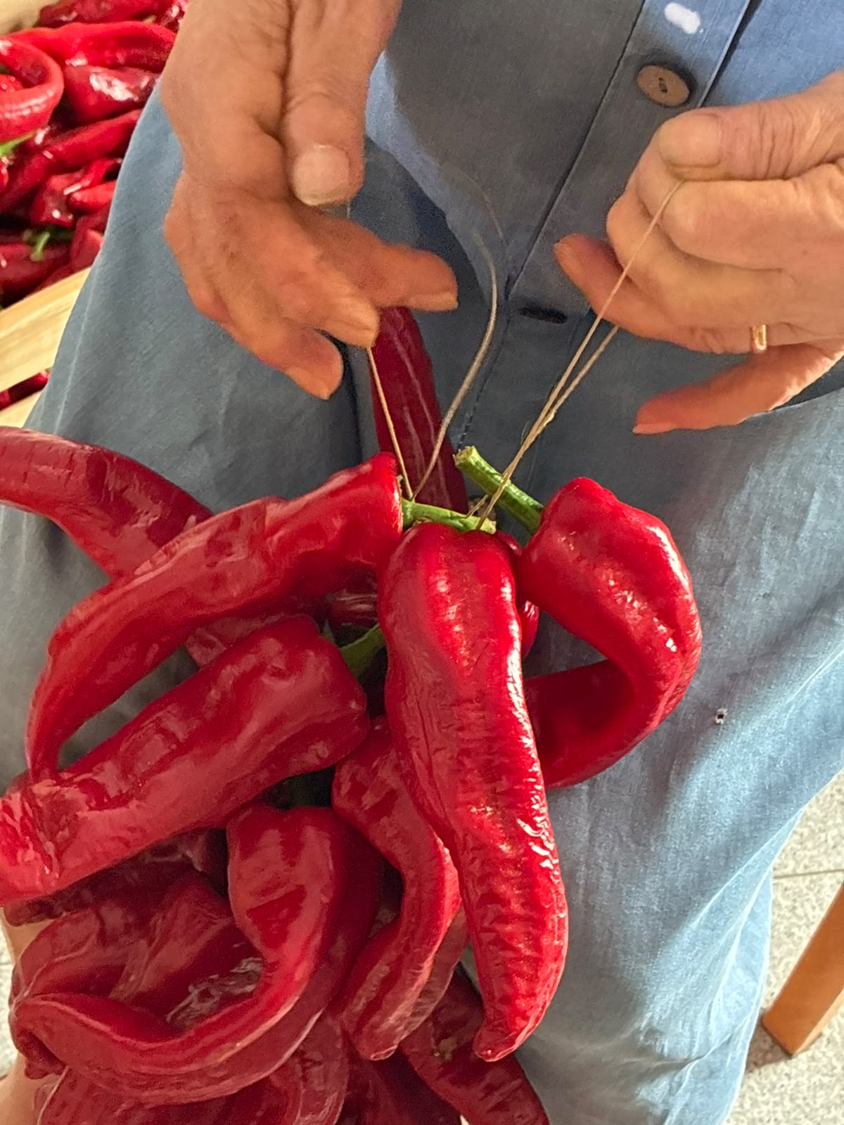 Dettaglio delle mani della nonna che infilano con ago e spago i peperoni di Senise per la dispensa invernale – Borgo Calvera
