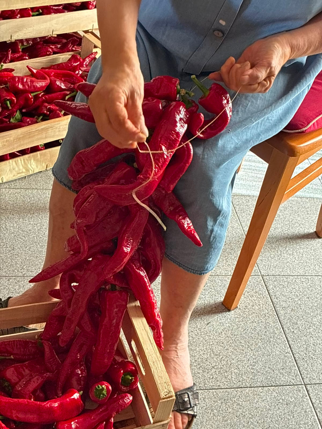 Dettaglio delle mani della nonna che infilano con ago e spago i peperoni di Senise per la dispensa invernale – Borgo Calvera