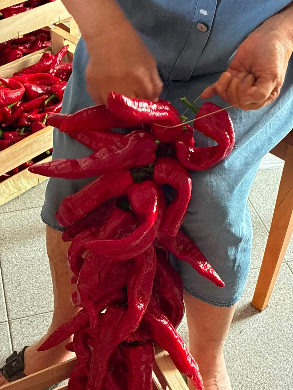 Dettaglio delle mani della nonna che infilano con ago e spago i peperoni di Senise per la dispensa invernale – Borgo Calvera