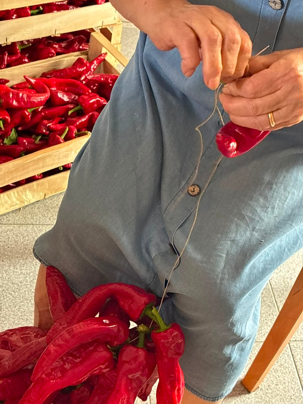 Dettaglio delle mani della nonna che infilano con ago e spago i peperoni di Senise per la dispensa invernale – Borgo Calvera