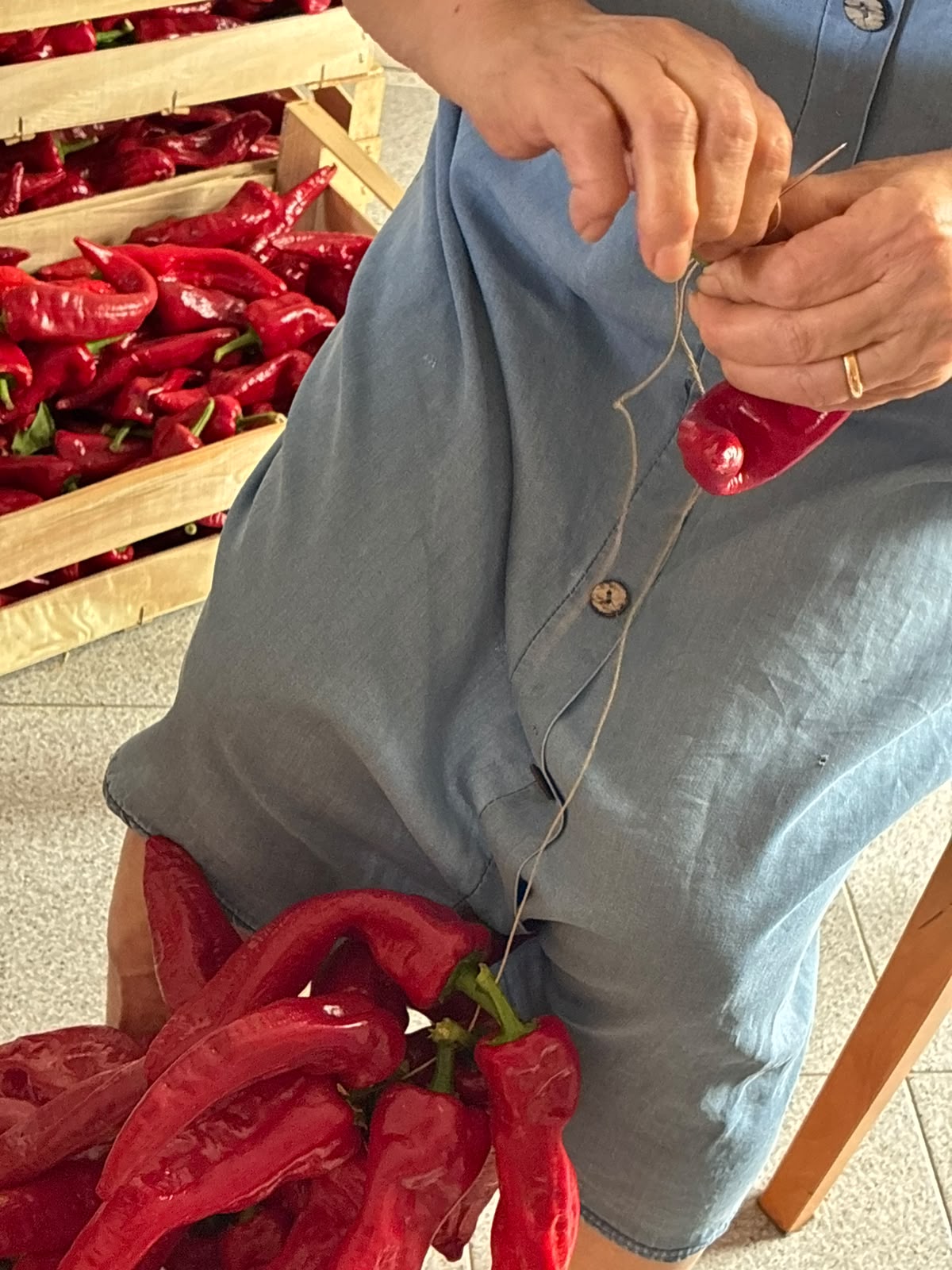 Dettaglio delle mani della nonna che infilano con ago e spago i peperoni di Senise per la dispensa invernale – Borgo Calvera