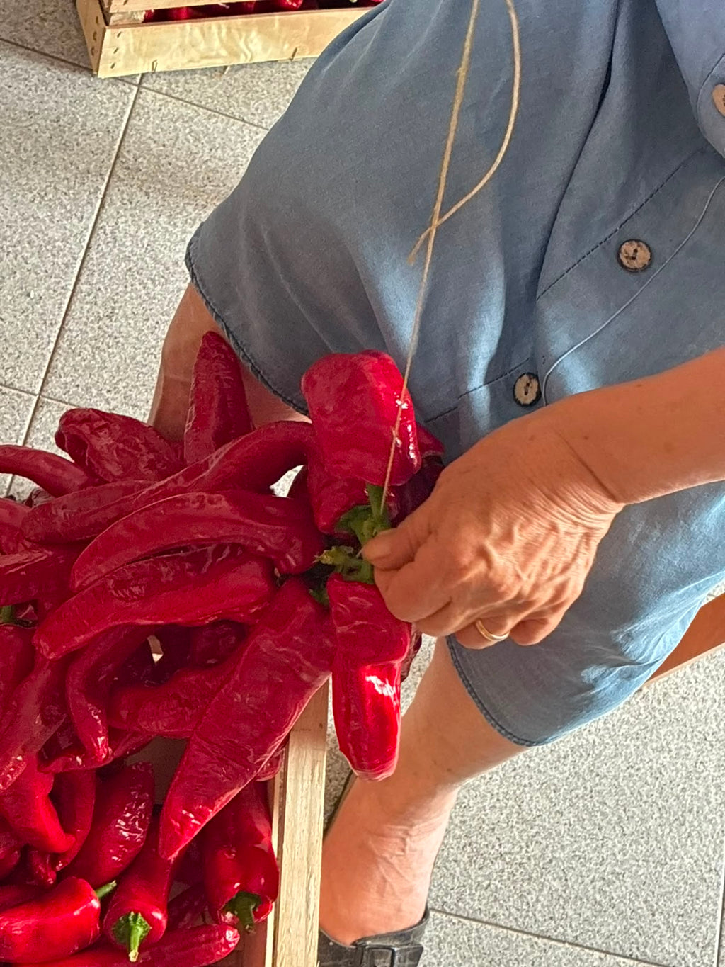 Dettaglio delle mani della nonna che infilano con ago e spago i peperoni di Senise per la dispensa invernale – Borgo Calvera