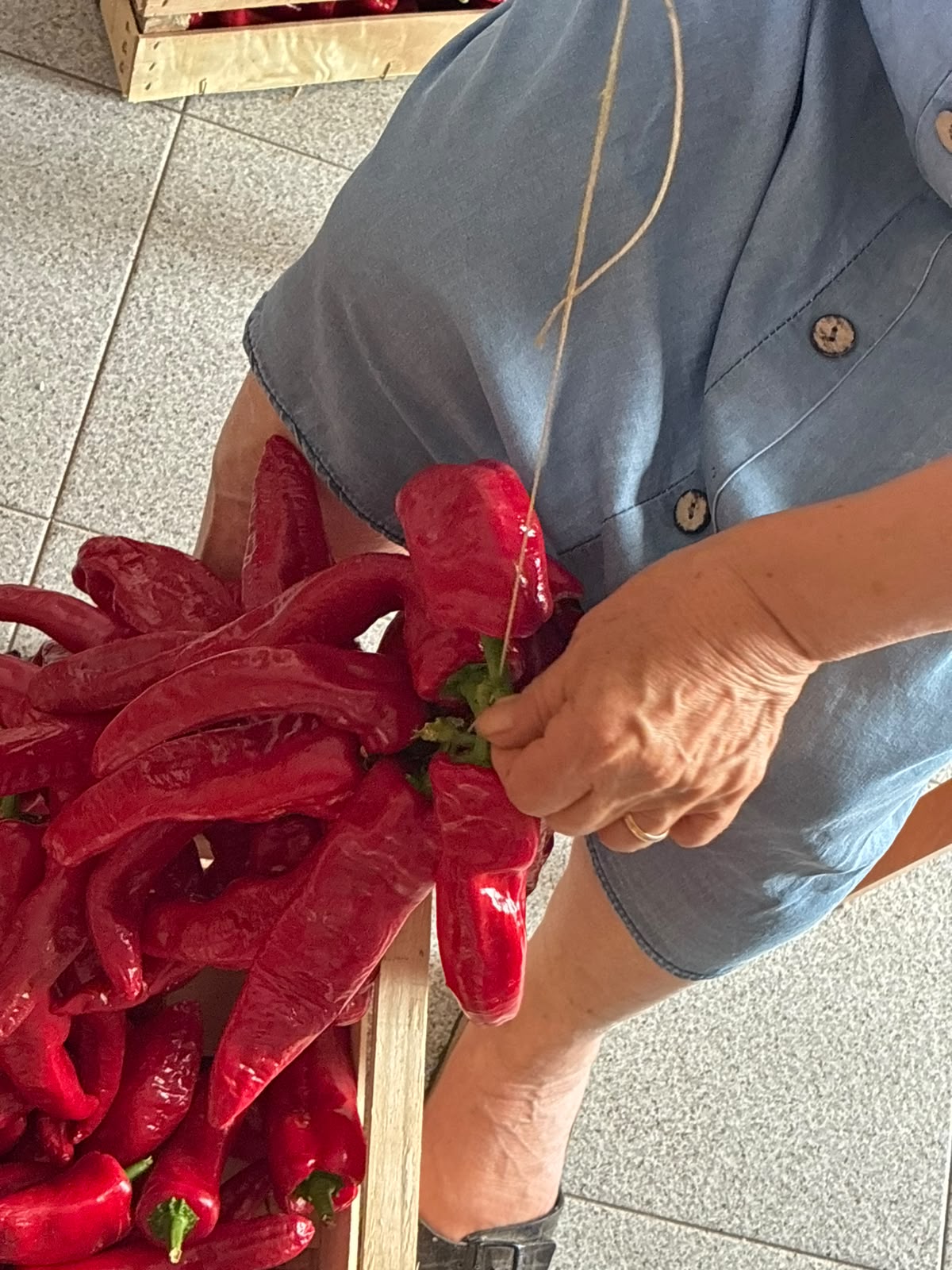 Dettaglio delle mani della nonna che infilano con ago e spago i peperoni di Senise per la dispensa invernale – Borgo Calvera