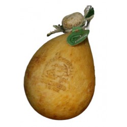 Caciocavallo podolico lucano stagionato oltre 12 mesi in forma intera Presidio Slow Food azienda Pessolani – Borgo Calvera