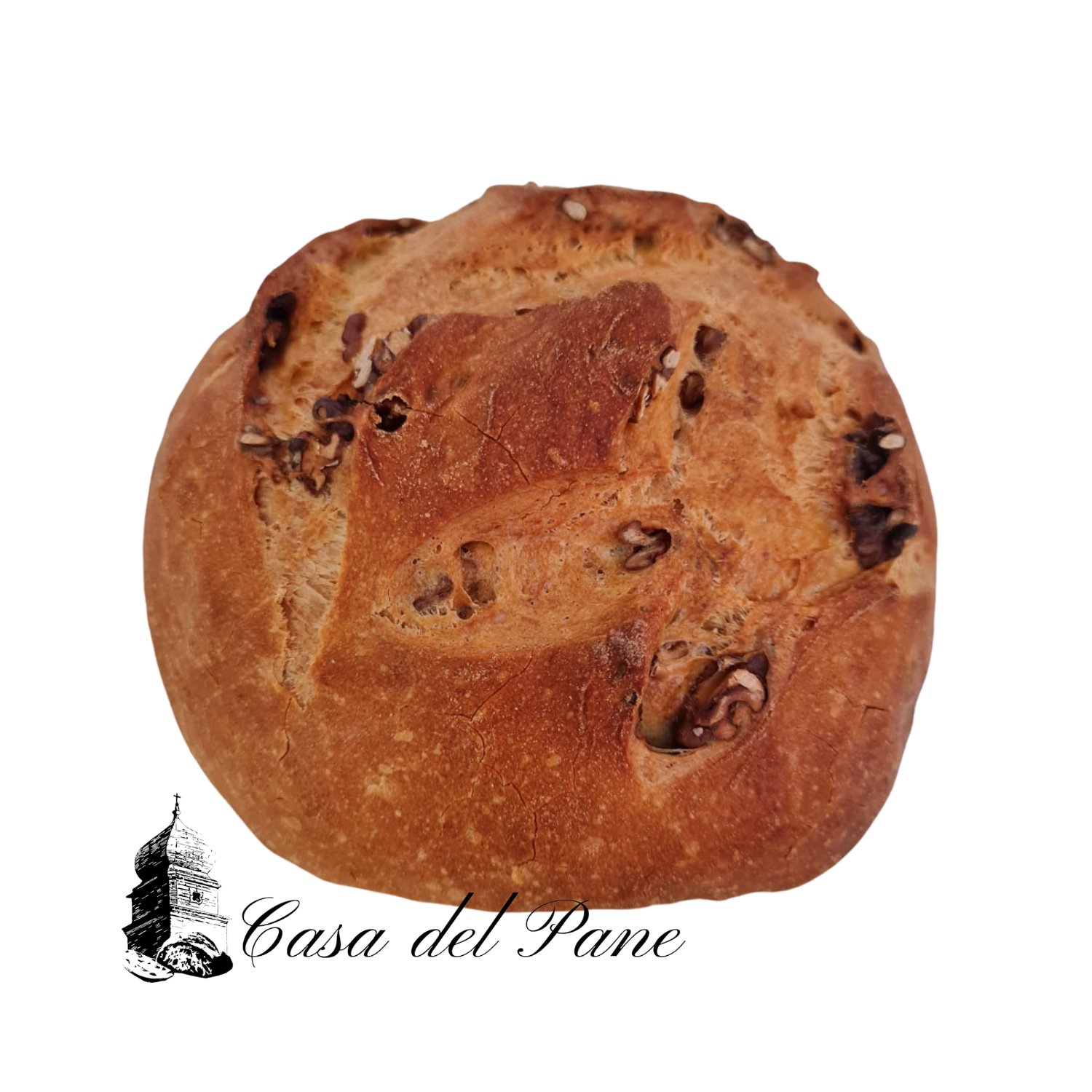 Pagnotta di pane lucano artigianale alle noci da 550g della Casa del Pane – Borgo Calvera